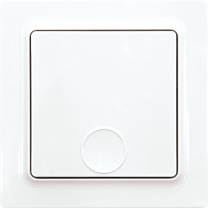 Funk-1-Kanal-Taster reinweiß glänze