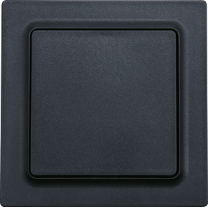 Funk-2-Kanal-Taster mit Batterie anthrazit matt E-Design55