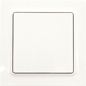 Funk-2-Kanal-Taster mit Batterie polarweiß glänzend E-Design55