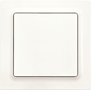 Funk-2-Kanal-Taster mit Batterie polarweiß matt E-Design55