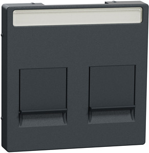 Zentralplatte f.Modular Jack 2-fach Schriftf.u.Staubschutzsch., anthr.