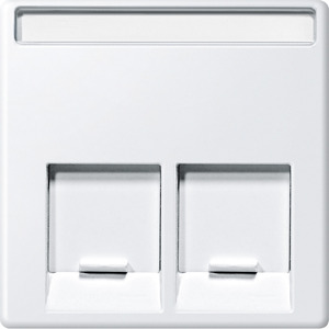 Zentralplatte 2-fach c-Connector polarweiss