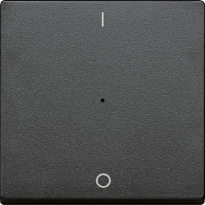 Wippe für Tastermodul 1-fach System M anthrazit mit Aufdruck 1/0