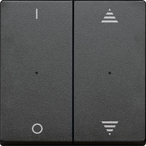 Wippe für Tastermodul 2-fach System M anthrazit Aufd.1/0 Pfeile