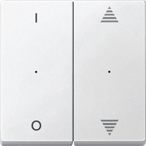 Wippe für Tastermodul 2-fach System M polarweiss Aufd.1/0 Pfeile
