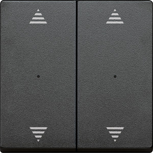 Wippe für Tastermodul 2-fach System M anthr. Aufdr.Pfeil Auf/Ab