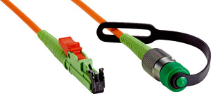 FOC10-AM1KLICHTLEITER10M0